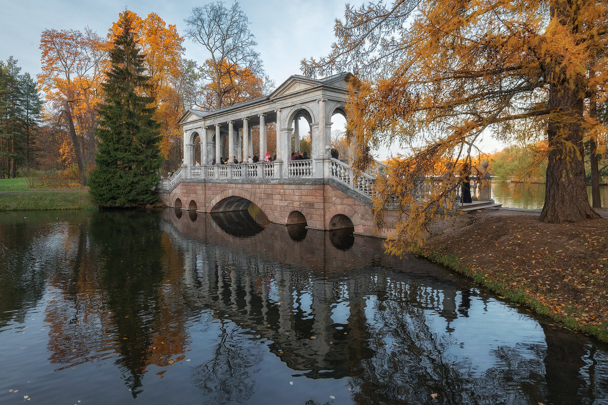 *** - Александр Кислицын