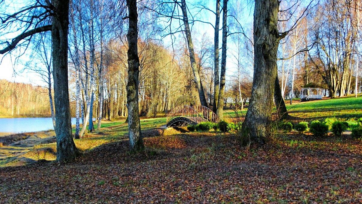Осенний деревенский пейзаж (репортаж из поездок по области). - Милешкин Владимир Алексеевич 