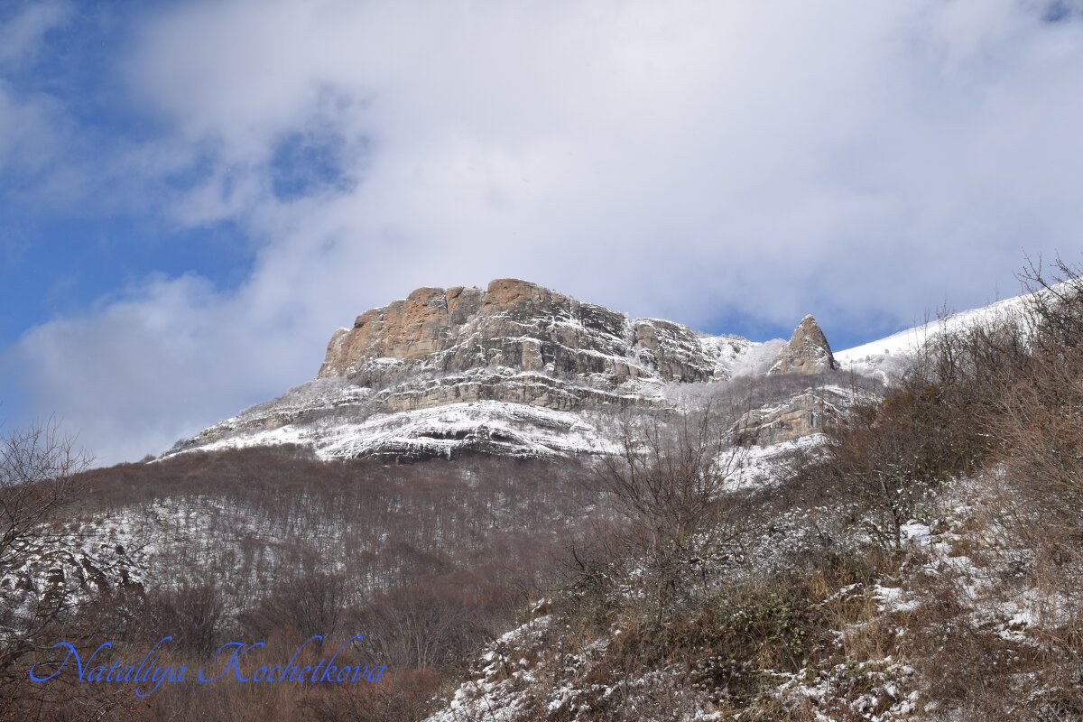 Природа Крыма - Amazing Cosmea Природа Крыма - Amazing Cosmea
