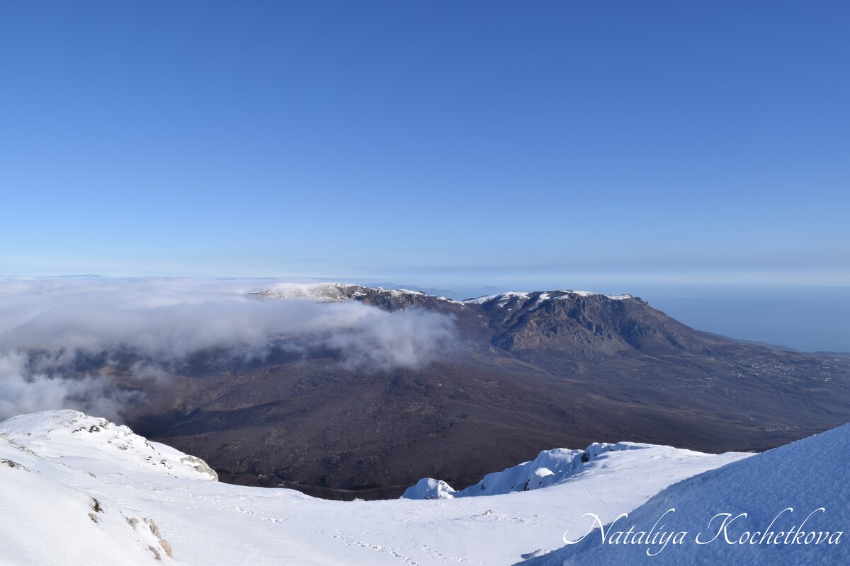 Природа Крыма - Amazing Cosmea