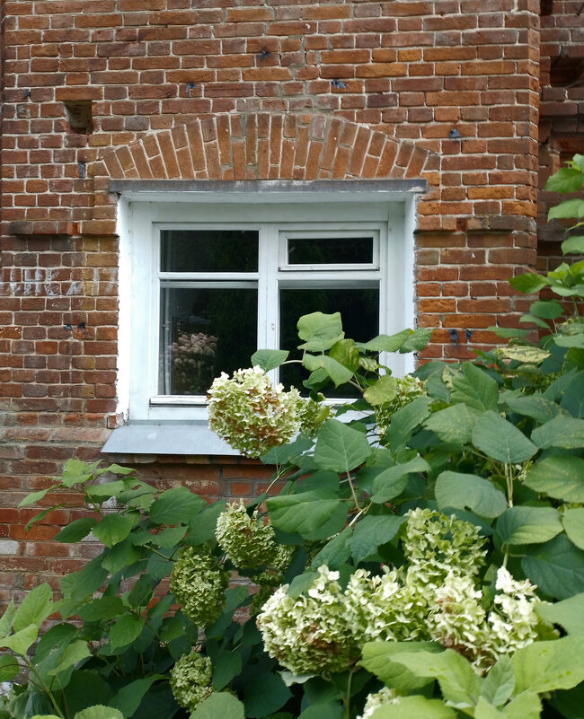 *** - Валентина Береснева