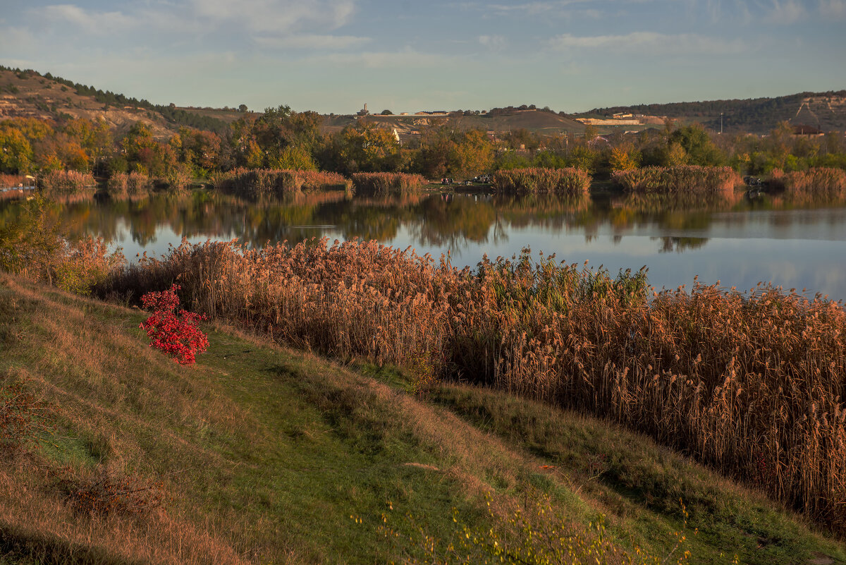 Озеро. - Сергей Воротников