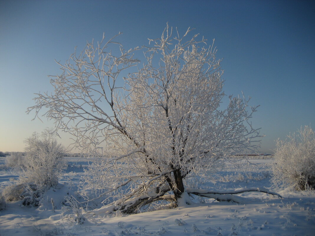 Красивый день - Anna Ivanova Красивый день - Anna Ivanova