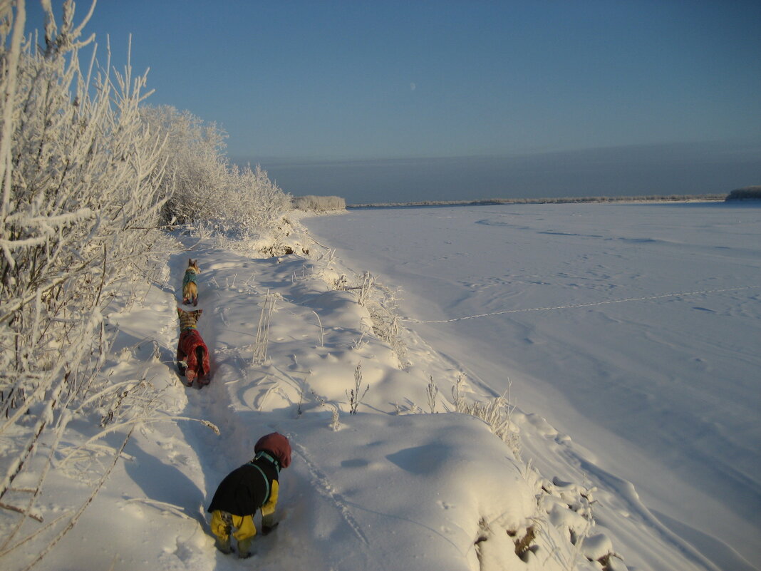 Протока зимой - Anna Ivanova