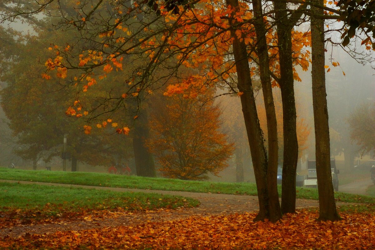 Утро ноября - Юрий. Шмаков Утро ноября - Юрий. Шмаков