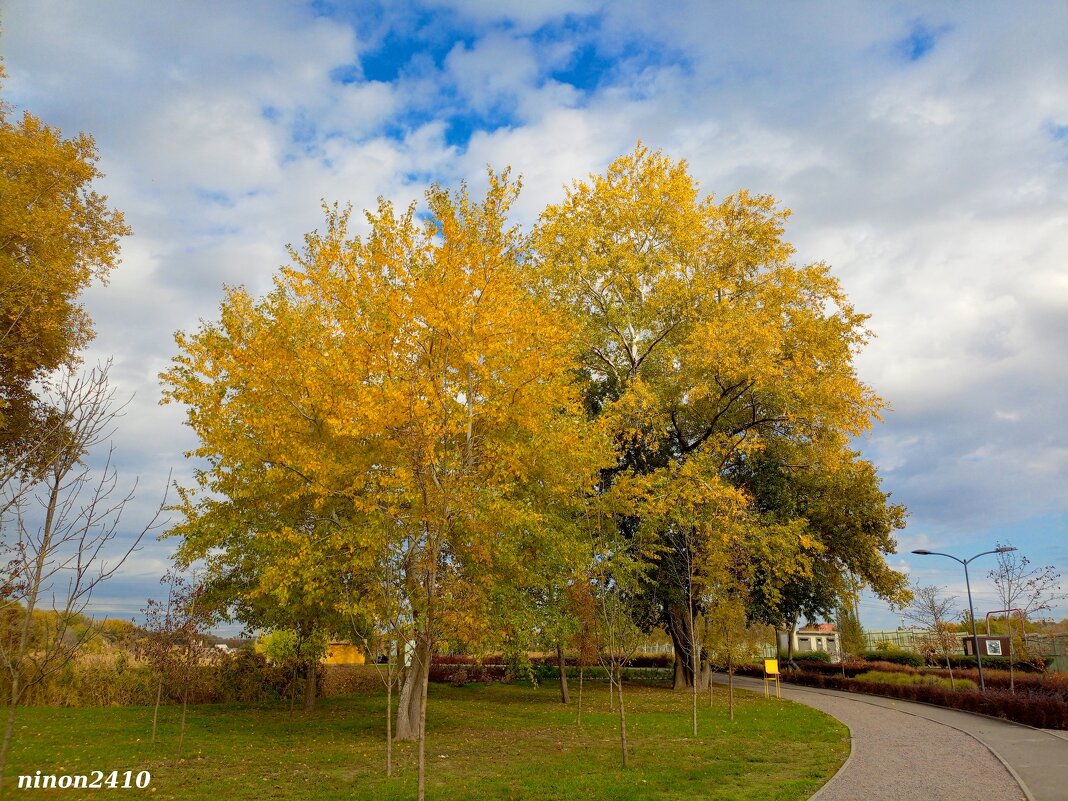 В ростовском экопарке Первая миля - Нина Бутко