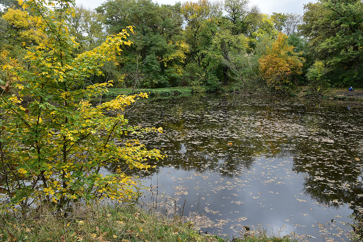 Осень - Александр 