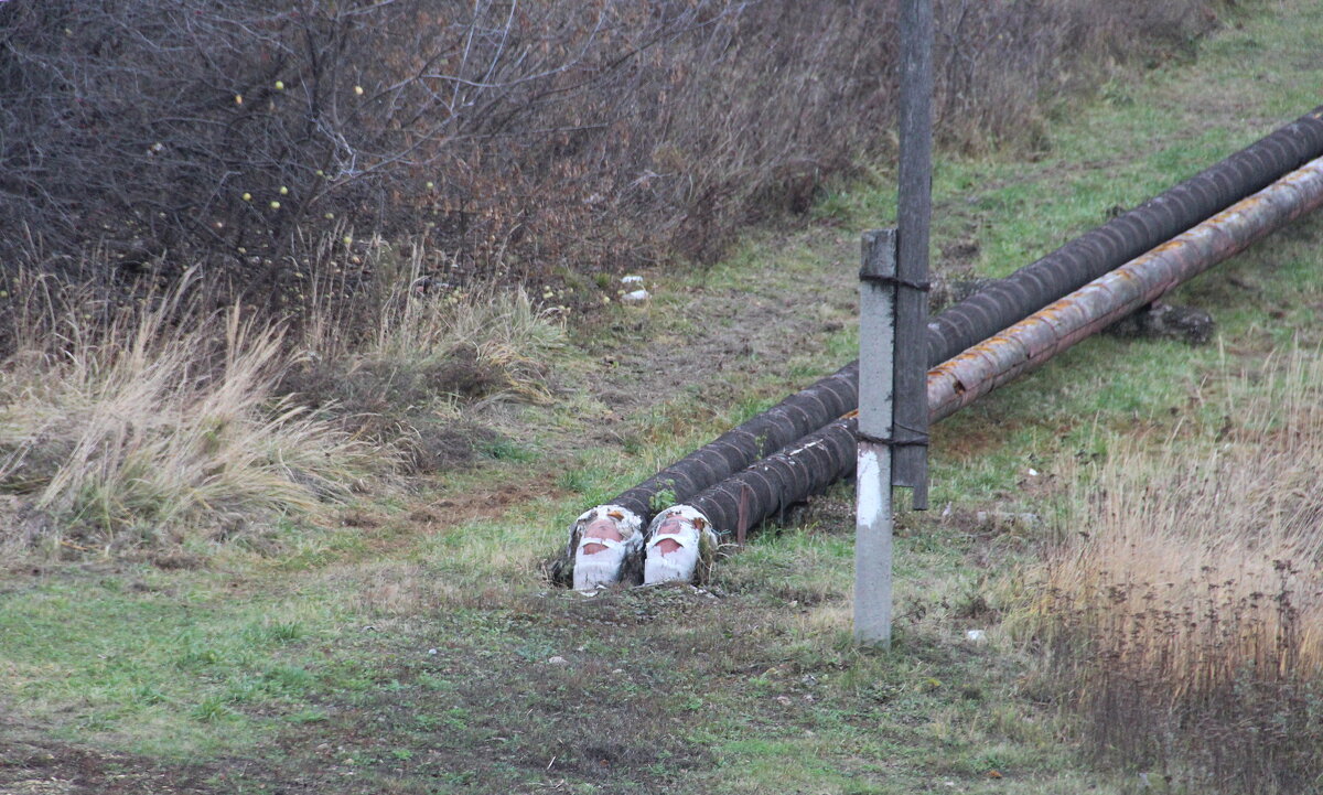 Два старика..) - Елена Минина