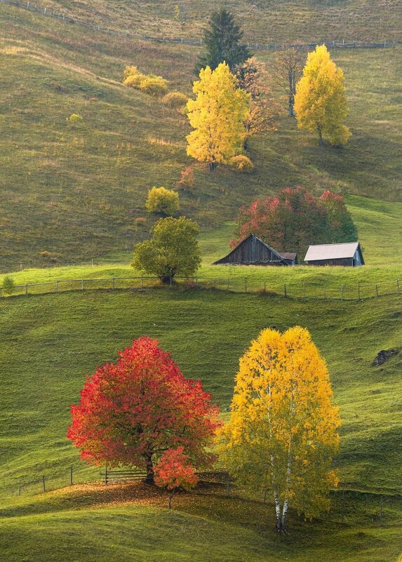 Карпати золота осінь - Степан Карачко