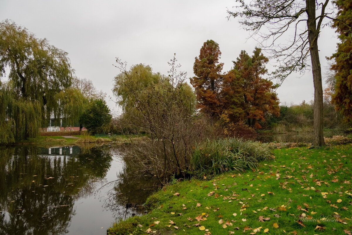 *** - Николай Гирш