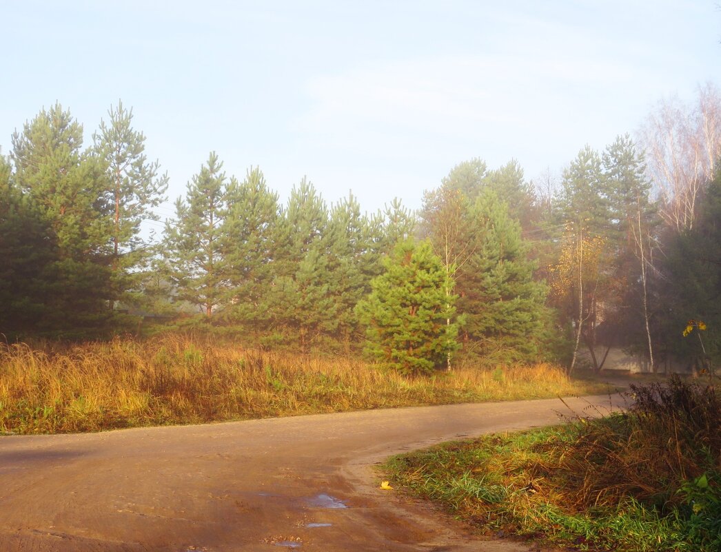 Дорожка в туман - Андрей Снегерёв