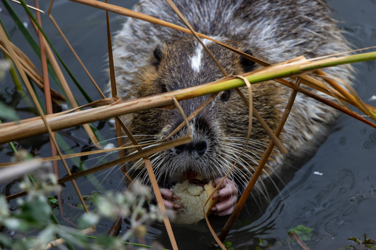 Сидим и точим... - Дмитрий А
