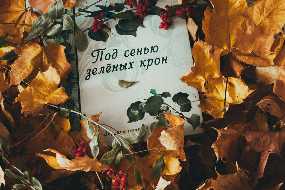 Осень для чтения - Светлана Никитина