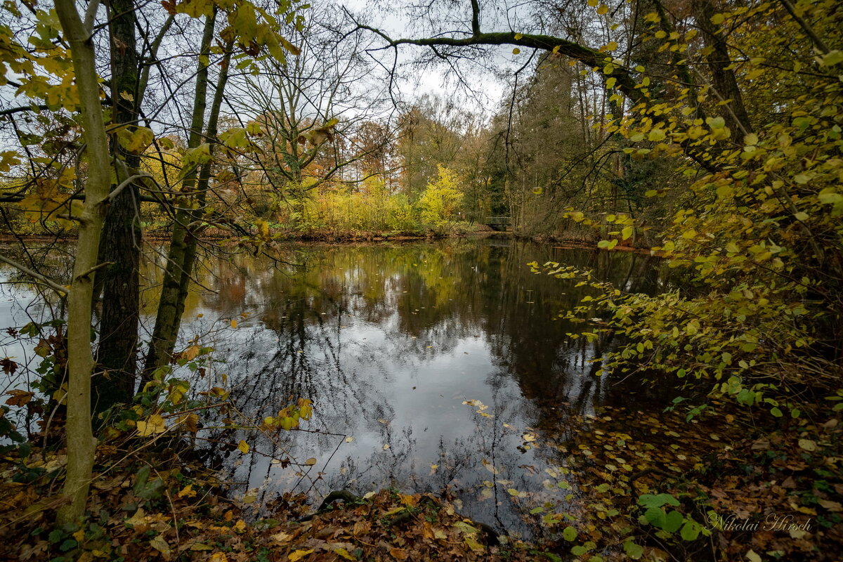 Ноябрьские хождения... - Николай Гирш