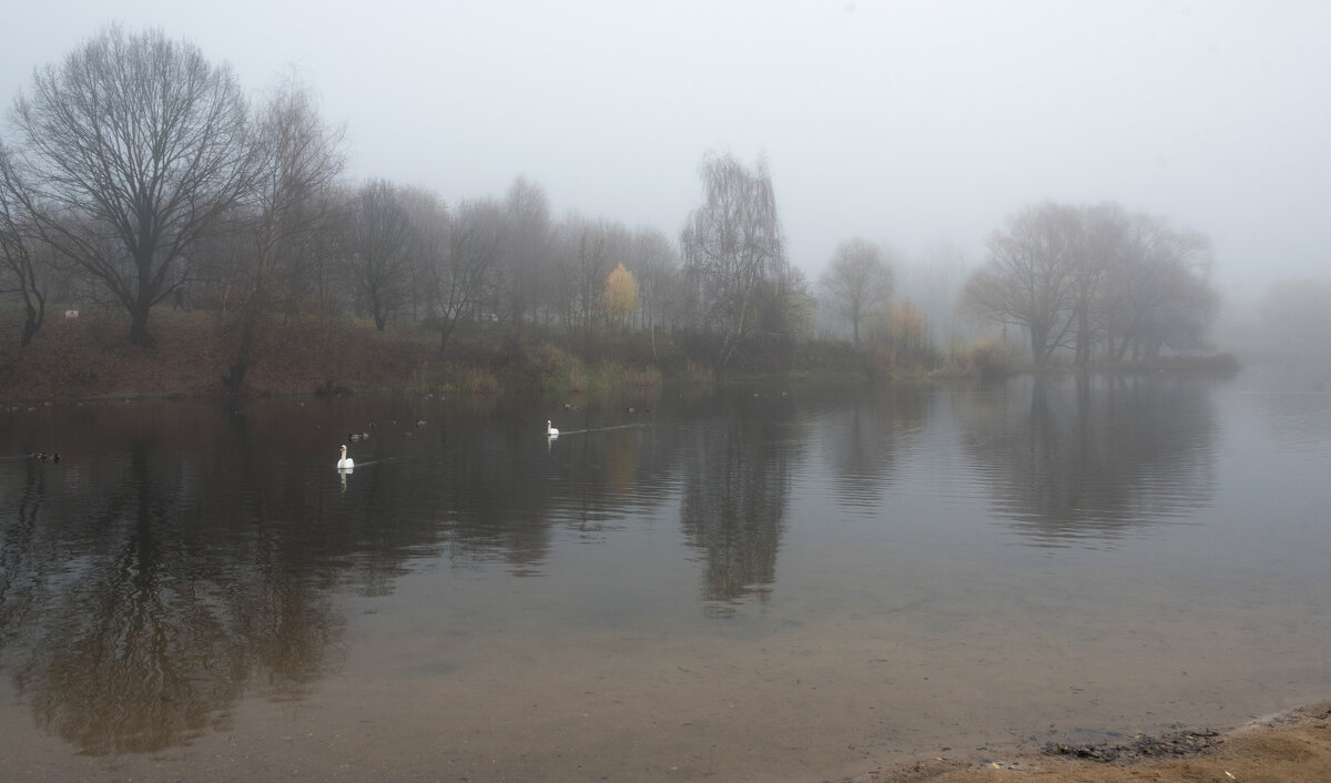 Туман. - Владимир Безбородов