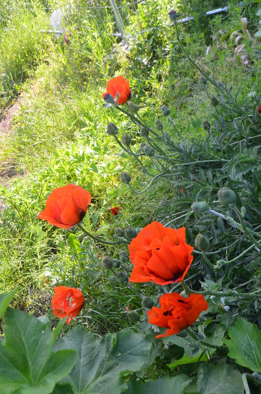 жизнь возле стройки - Галина R... жизнь возле стройки - Галина R...