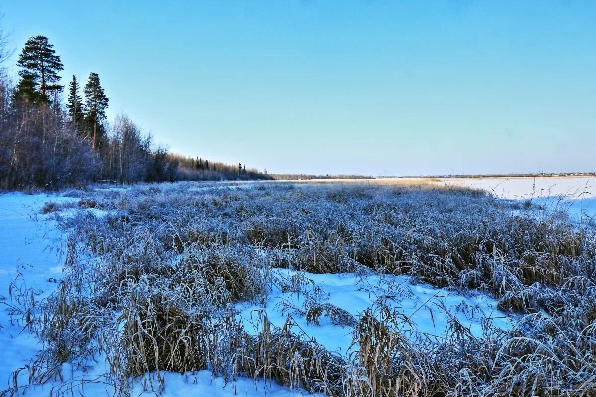 Ноябрь...Пойма протоки Чеускина! - Владимир 