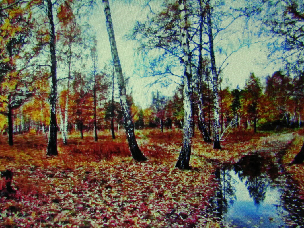 Осенний лес - Людмила Смородинская Осенний лес - Людмила Смородинская