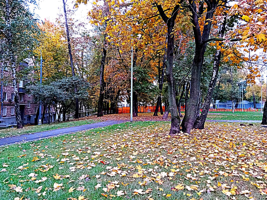 Осень. - Владимир Драгунский