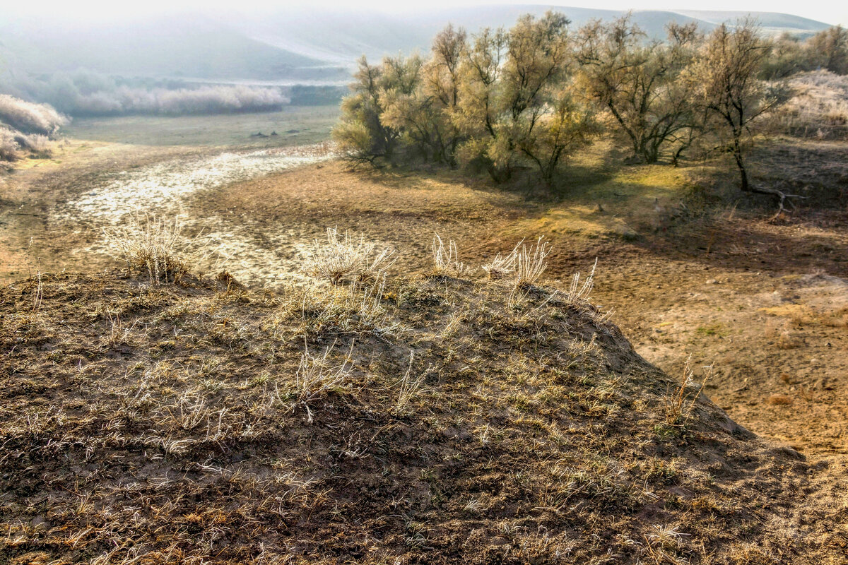 Утро в ноябре, и руки зябнут... - LudMila 