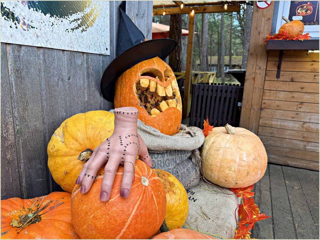 1 ноября. На косе после праздника. - Валерия Комова 1 ноября. На косе после праздника. - Валерия Комова