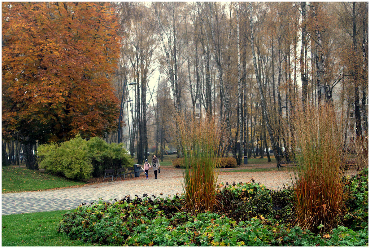 Парк оенью - Aleksandr Gal