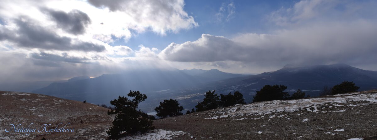 Природа Крыма - Amazing Cosmea