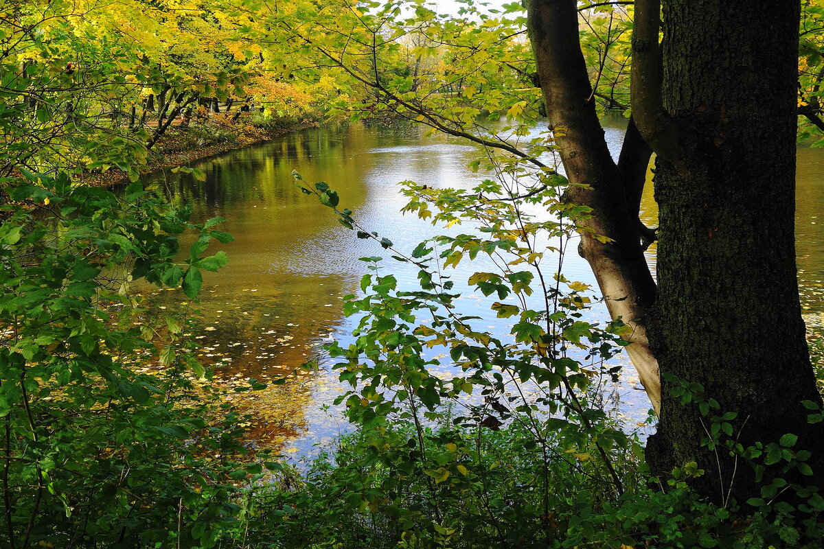Картинки осени - Рита Симонова Картинки осени - Рита Симонова