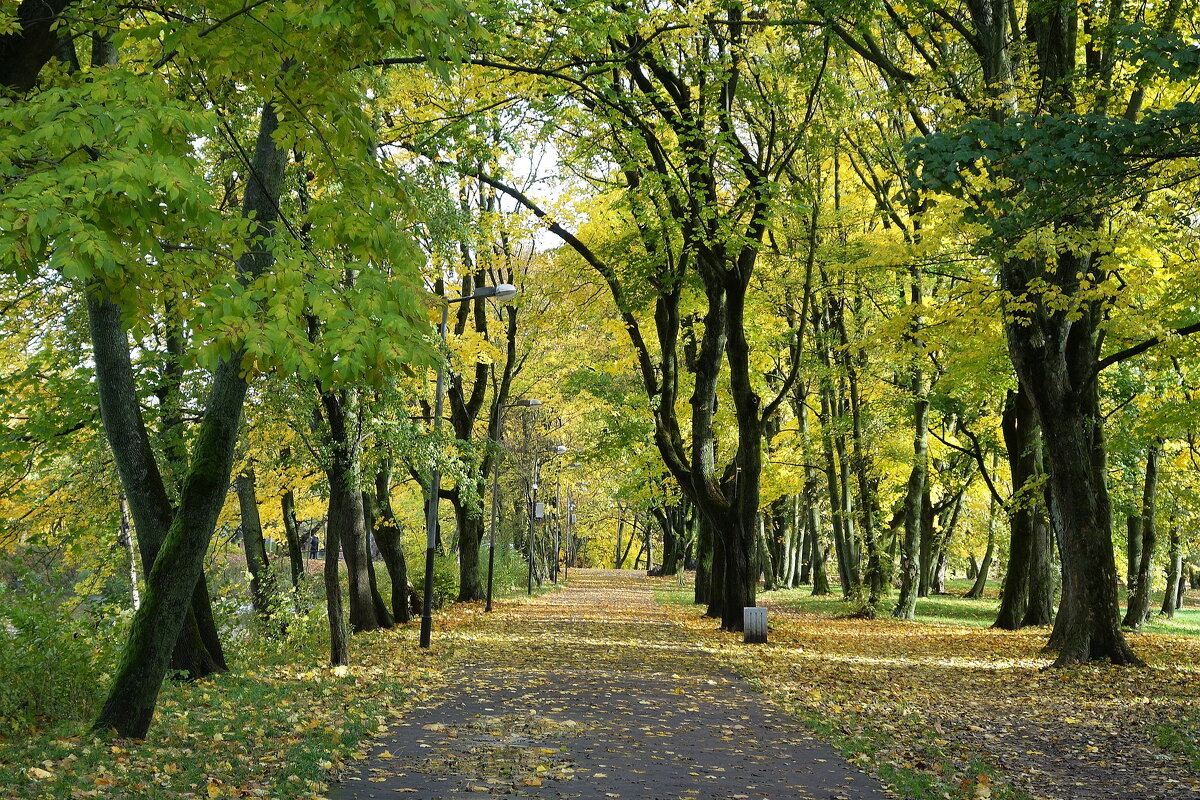 Картинки осени - Рита Симонова