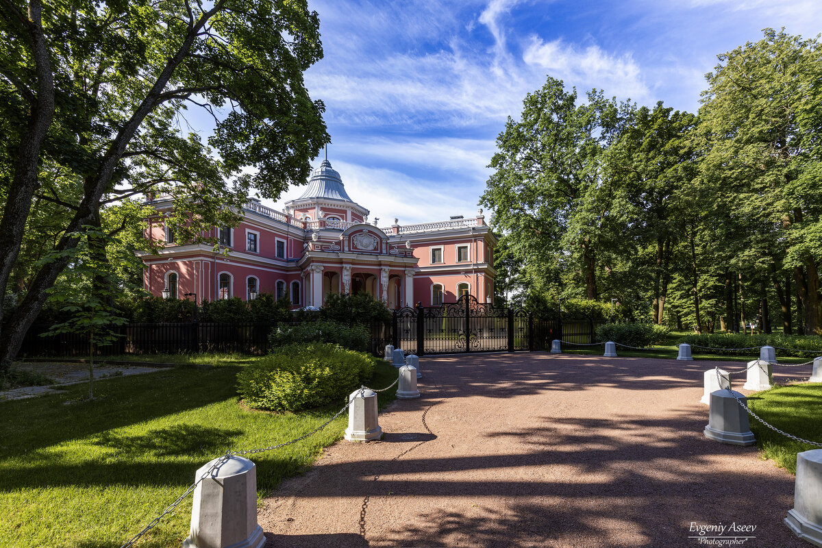 Уголки Петербурга - Евгений 