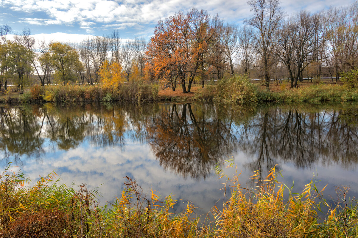 Осень собою любуется, смотртися в зеркало вод... - Наталья Димова