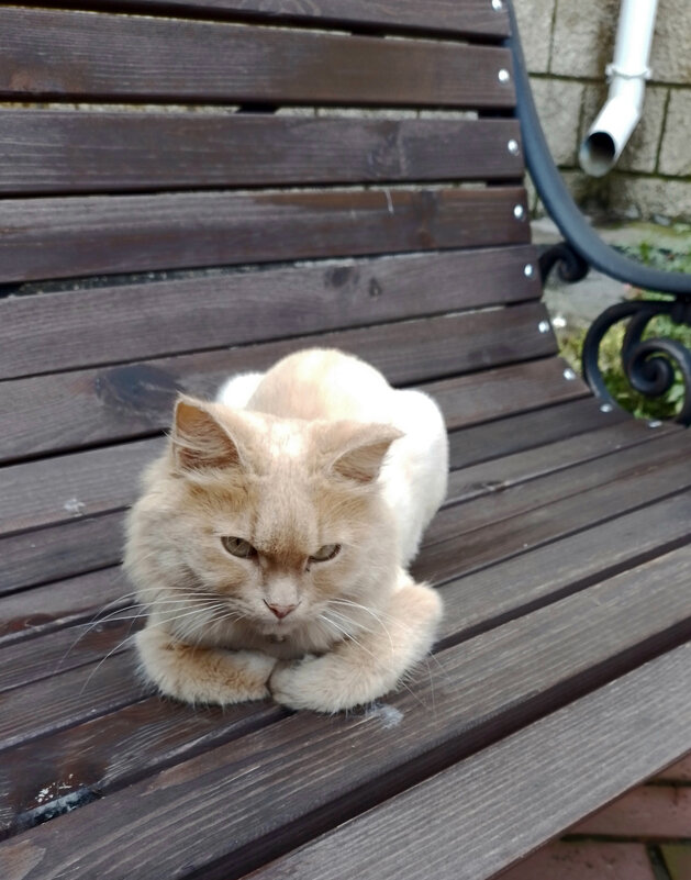 *** - Валентина Береснева