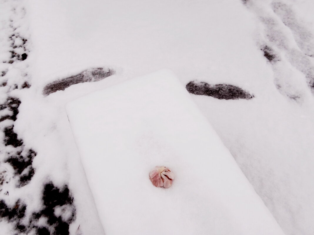 Нет вампирам! - Maria Rainer