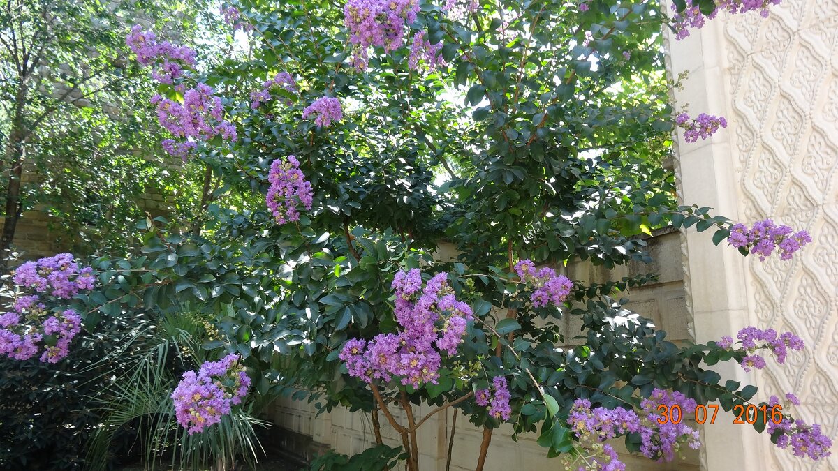 *** - СЕРГЕЙ ФИЛОЧКИН