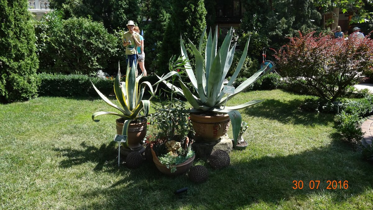 *** - СЕРГЕЙ ФИЛОЧКИН