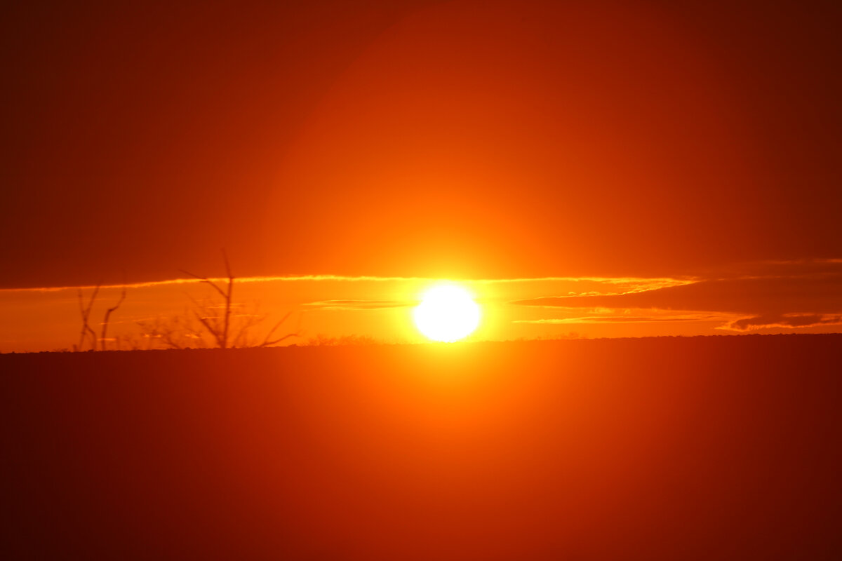 Между тучами  и землей-рассвет. - Николай (dr.Zlo) Кузнецов