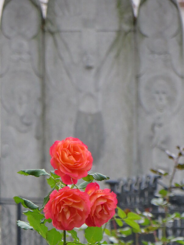 Ноябрь. Монастырские прозыю. - Александр Чеботарь