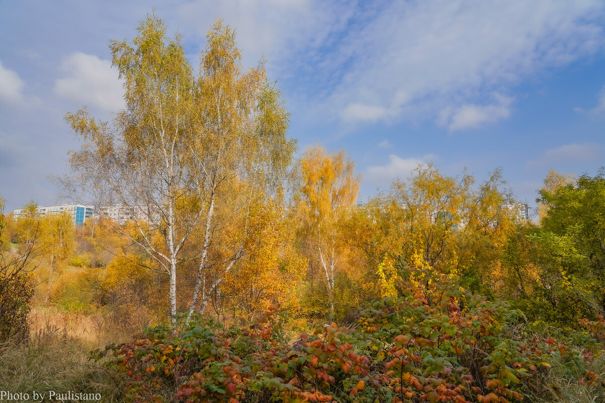 Палитра октября... - Владимир Жданов