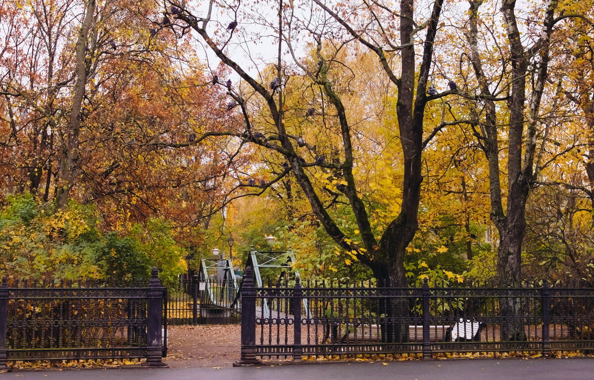 +++ - Валерий 