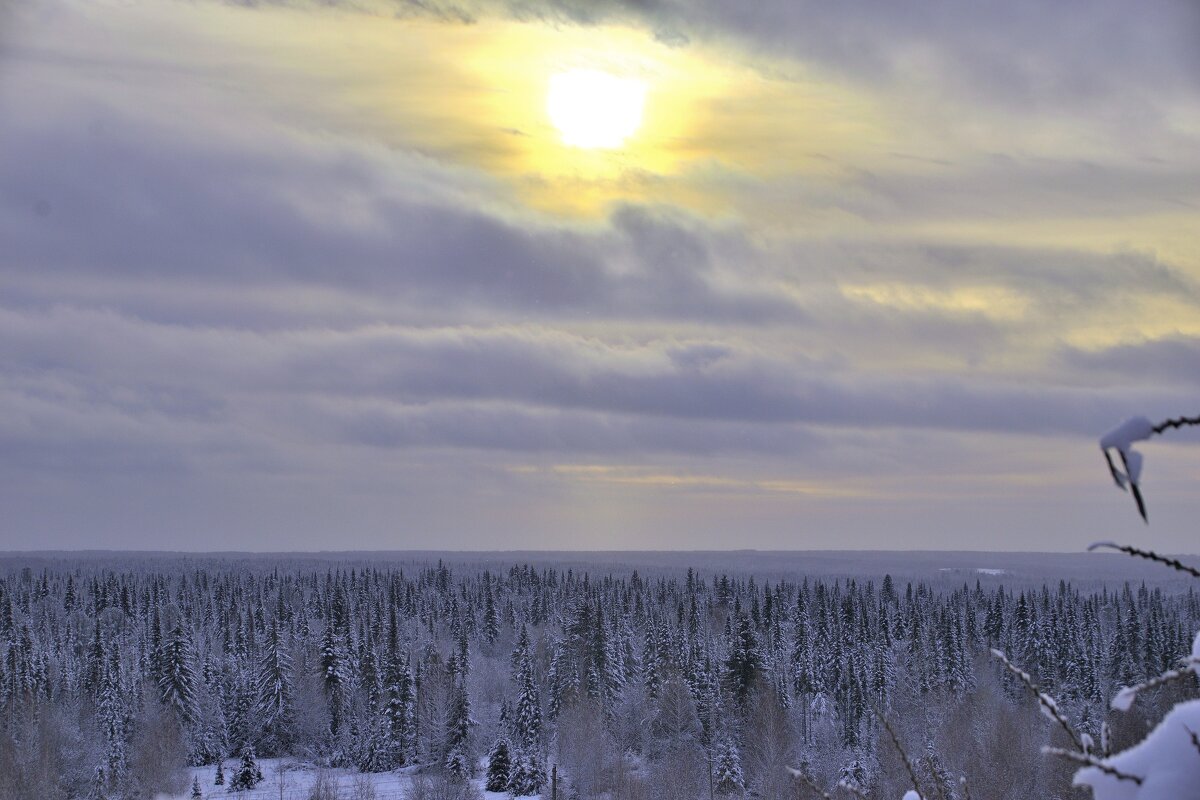 Белое безмолвие. - Владимир Мигонькин