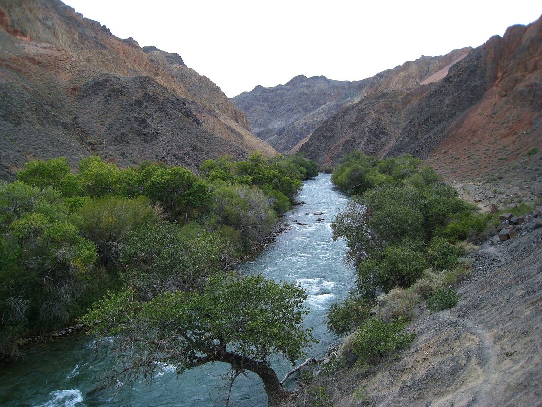 Чарынское ущелье, Казахстан. - unix (Илья Утропов)