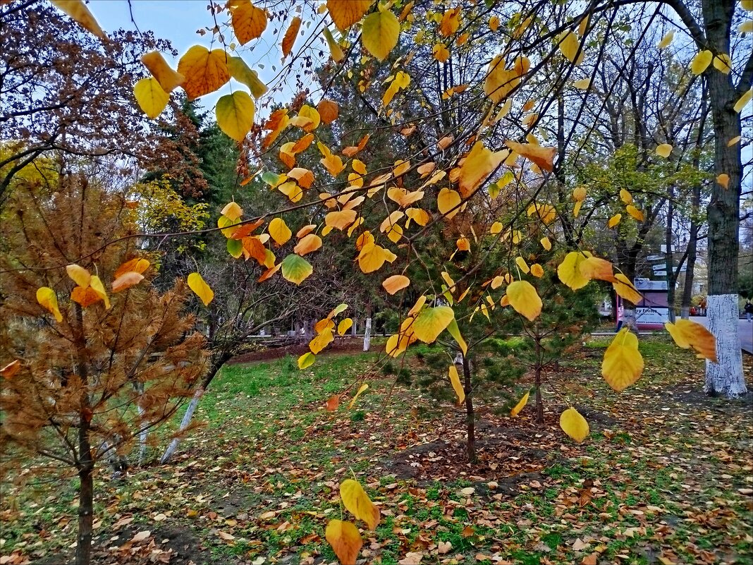 Нежность! - Надежда Нежность! - Надежда