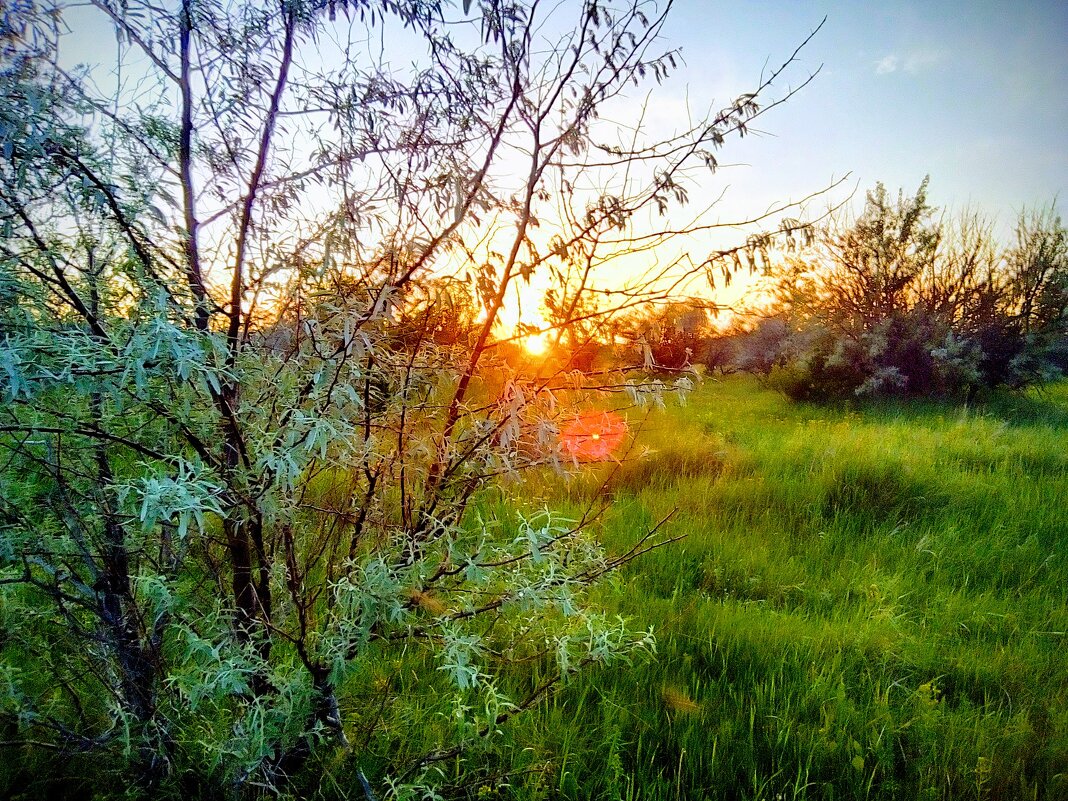 Солнышко - Георгиевич Солнышко - Георгиевич