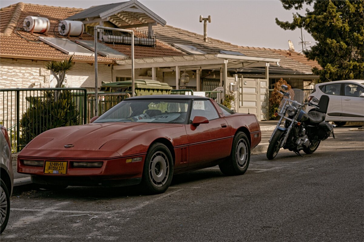 Израиль *Хайфа * 2025г - ujgcvbif 