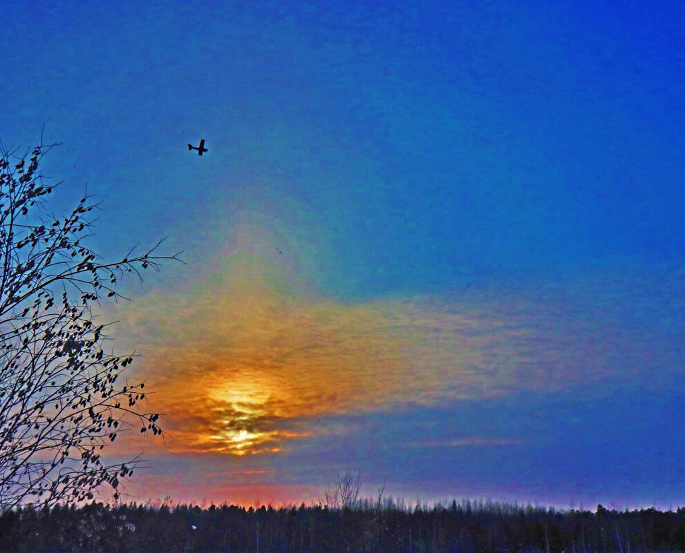 Декабрь...Самолет в небе на  закате солнца! - Владимир 