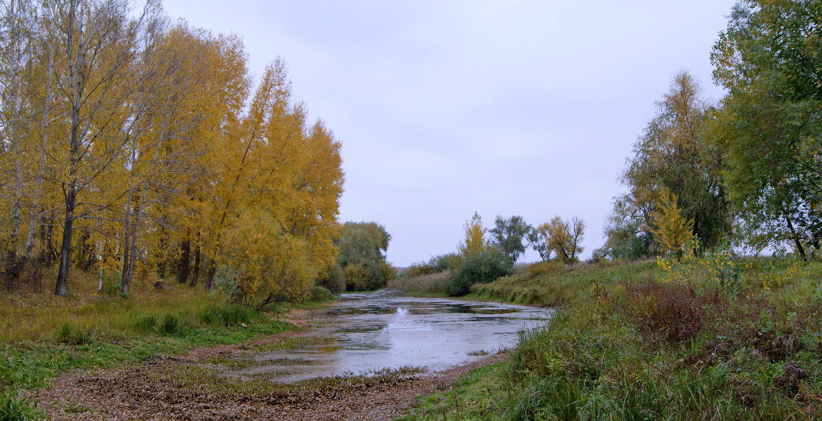 Осенняя р.Быструшка. - сергей ермошкин