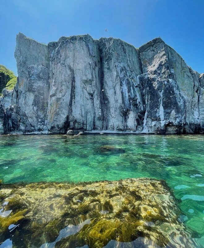 На море - Елена Семигина