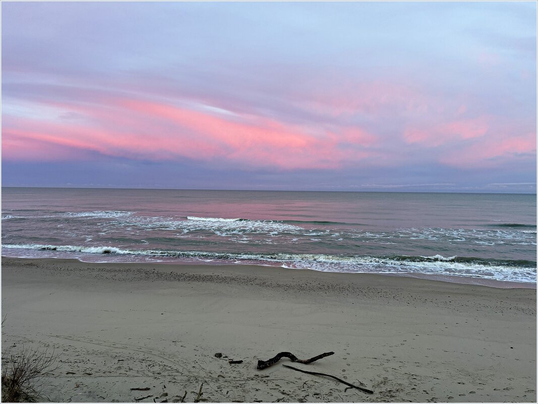 7.30. Розовый рассвет на Куршской косе. - Валерия Комова