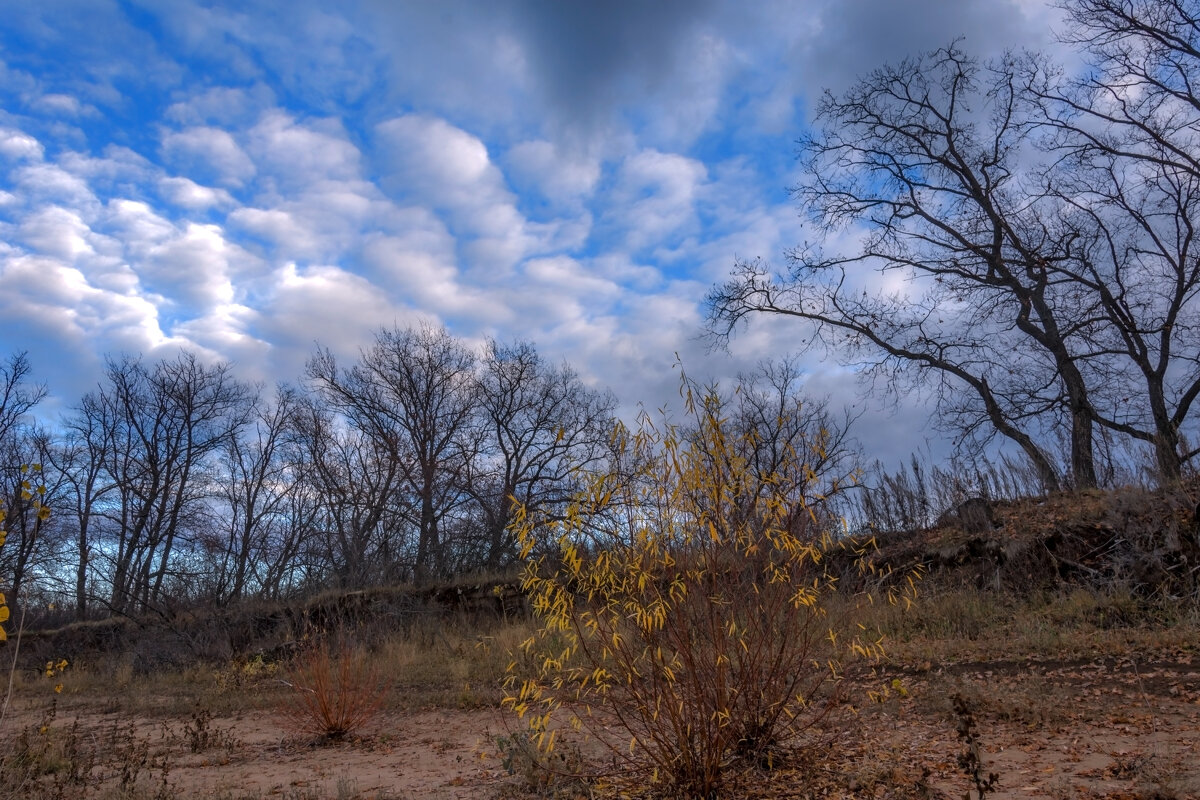 А осень тихо в зиму уходила, оставив яркий на прощанье след... - Наталья Димова