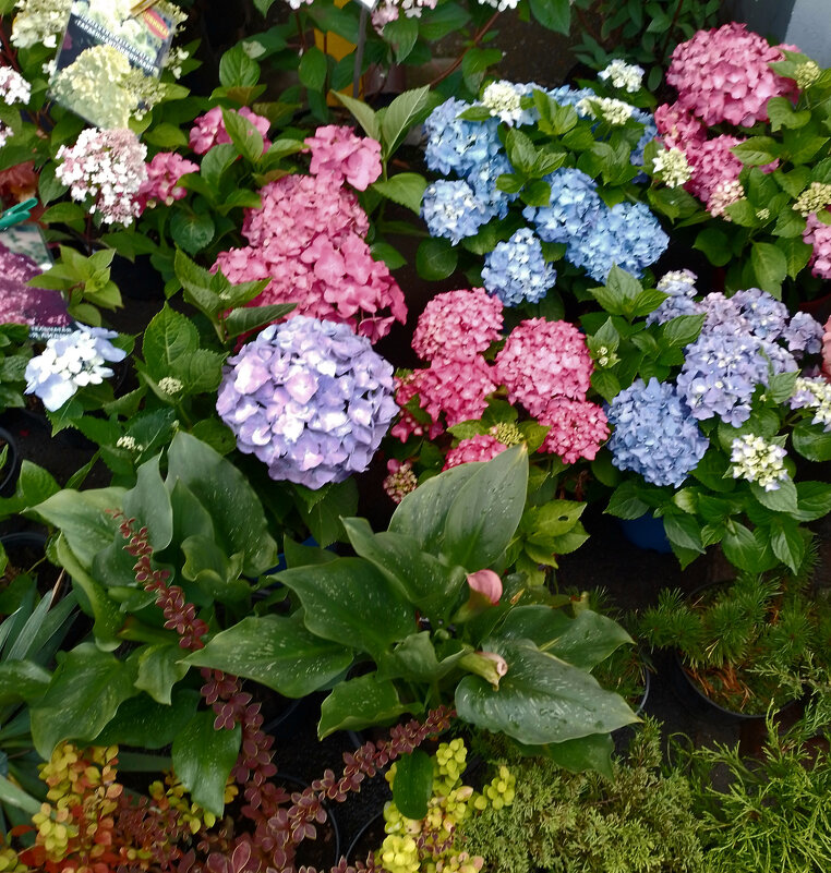 *** - Валентина Береснева